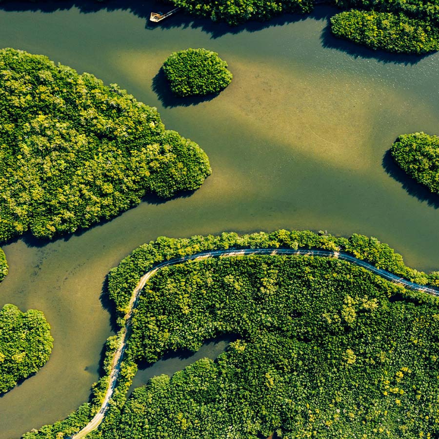 Fluss- und Waldlandschaft von oben fotografiert