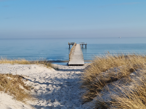 Bild på strand i Vellinge